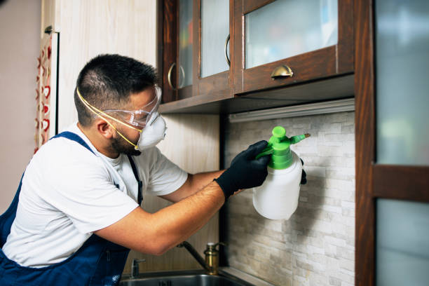 Best Cockroach Control Services  in Valle Vista, AZ